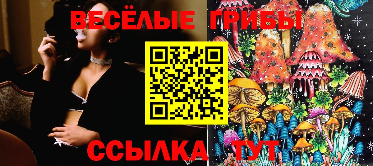 Галлюциногенные грибы Psilocybe  Вход с VPN  Советск 